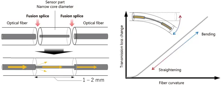 fiber-sensing-fig3-en-v4.webp